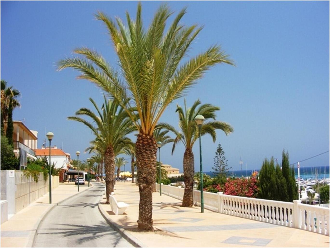 Torre De La Horadada - Modern And Comfortable 2 Bedroom Apartment Close To The Beach Torre de la Horadada מראה חיצוני תמונה